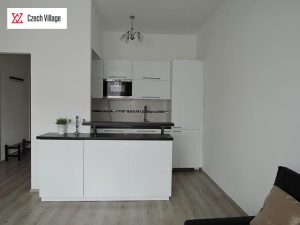 Квартира 2+kk 54 m² — Прага 4, Нусле